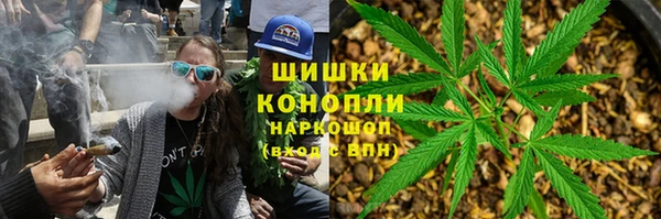 дурь Пестово