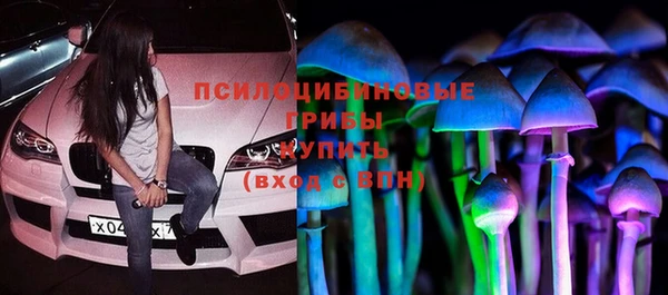 дурь Пестово